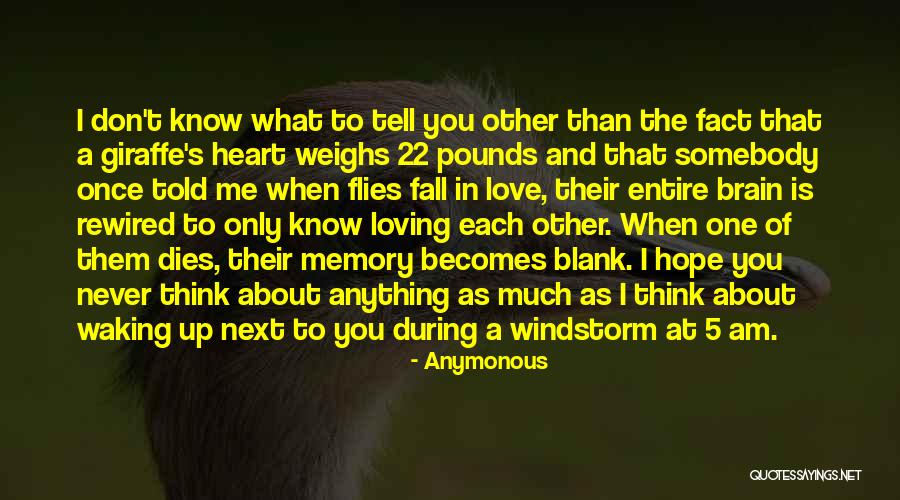 When Someone You Love Becomes A Memory Quotes By Anymonous When Someone You Love Becomes A Memory Quotes By Anymonous