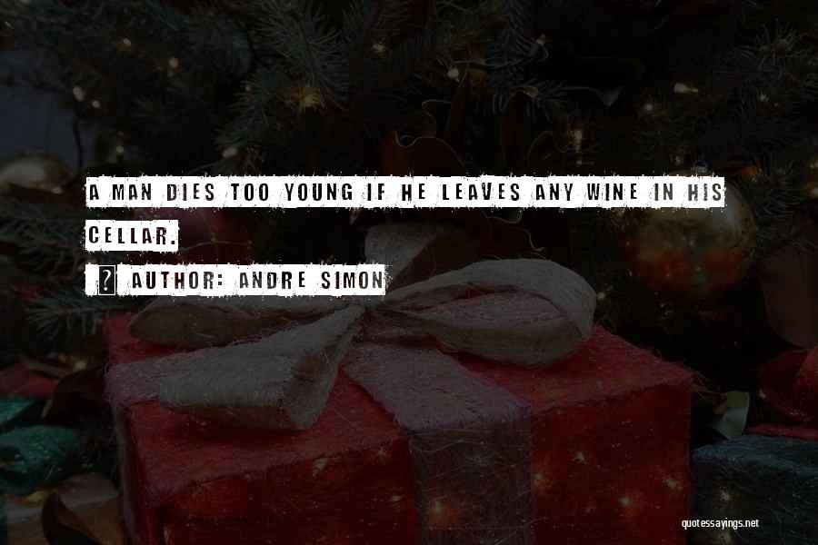 When Someone Young Dies Quotes By Andre Simon