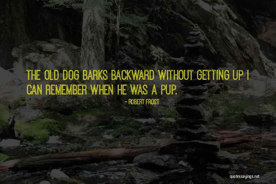 When The Dog Barks Quotes By Robert Frost When The Dog Barks Quotes By Robert Frost