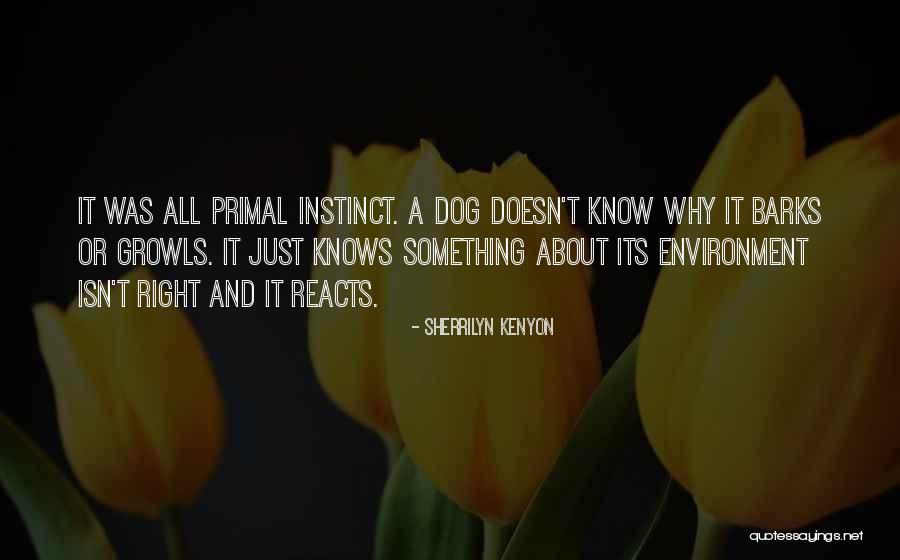 When The Dog Barks Quotes By Sherrilyn Kenyon When The Dog Barks Quotes By Sherrilyn Kenyon