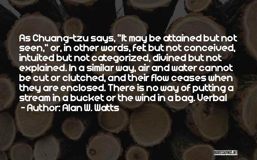 When There Are No Words Quotes By Alan W. Watts