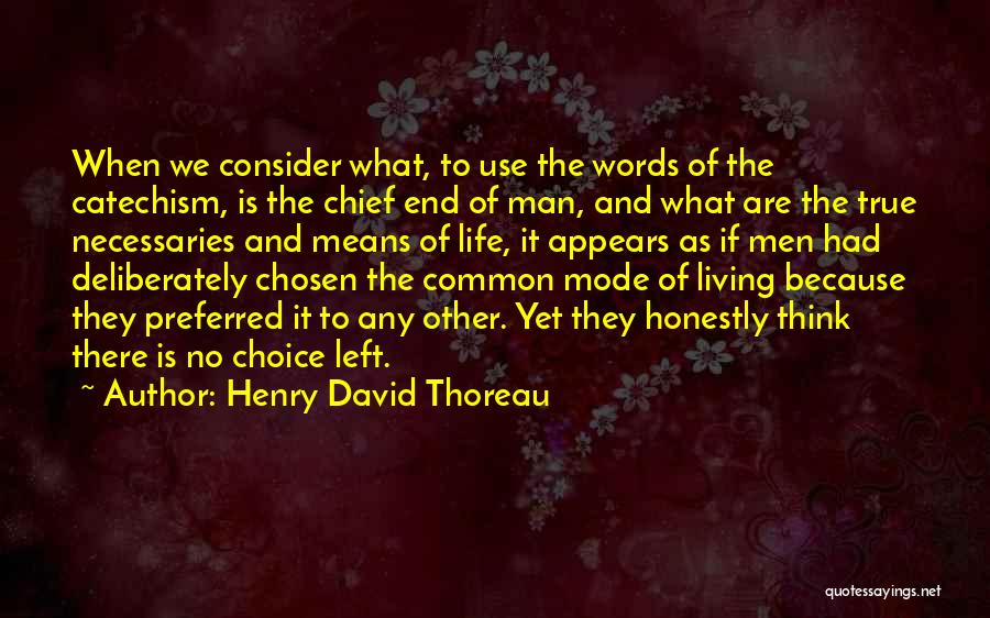 When There Are No Words Quotes By Henry David Thoreau