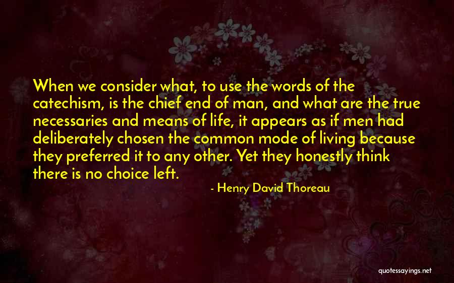 When There Are No Words Quotes By Henry David Thoreau