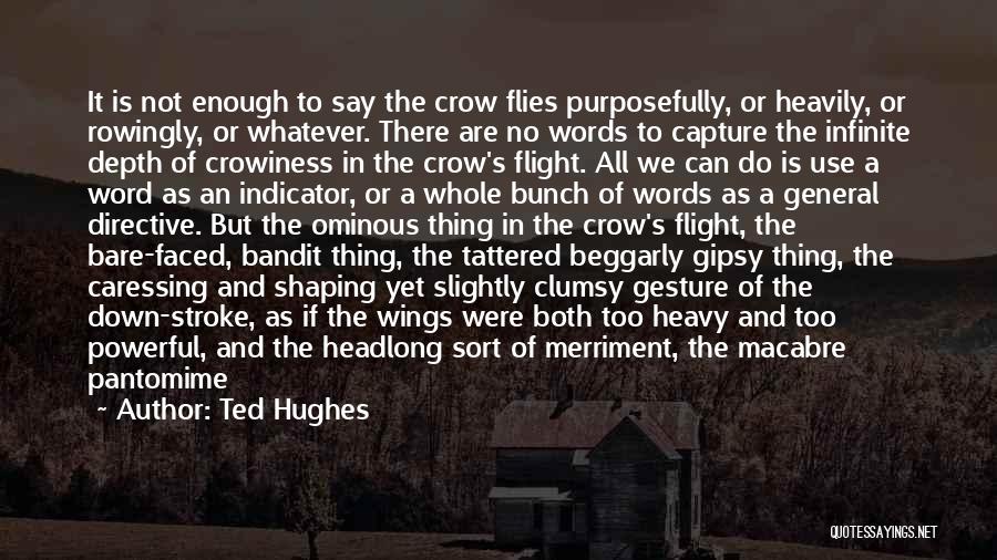 When There Are No Words Quotes By Ted Hughes