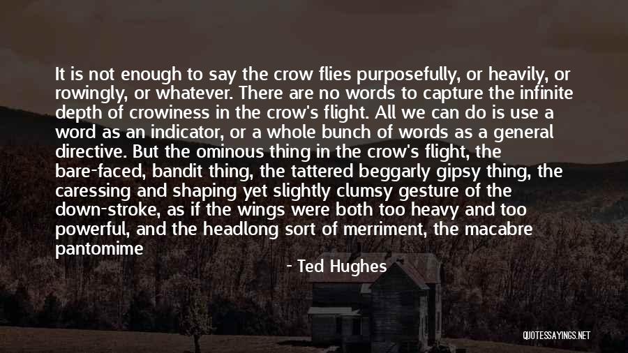 When There Are No Words Quotes By Ted Hughes