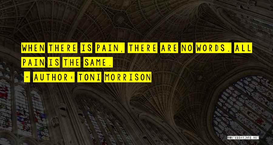 When There Are No Words Quotes By Toni Morrison