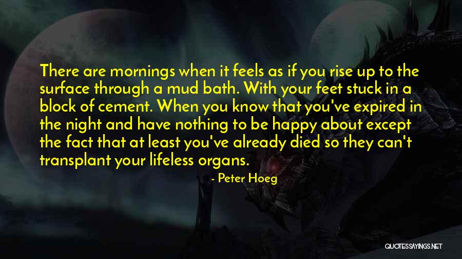 When They Block You Quotes By Peter Hoeg When They Block You Quotes By Peter Hoeg