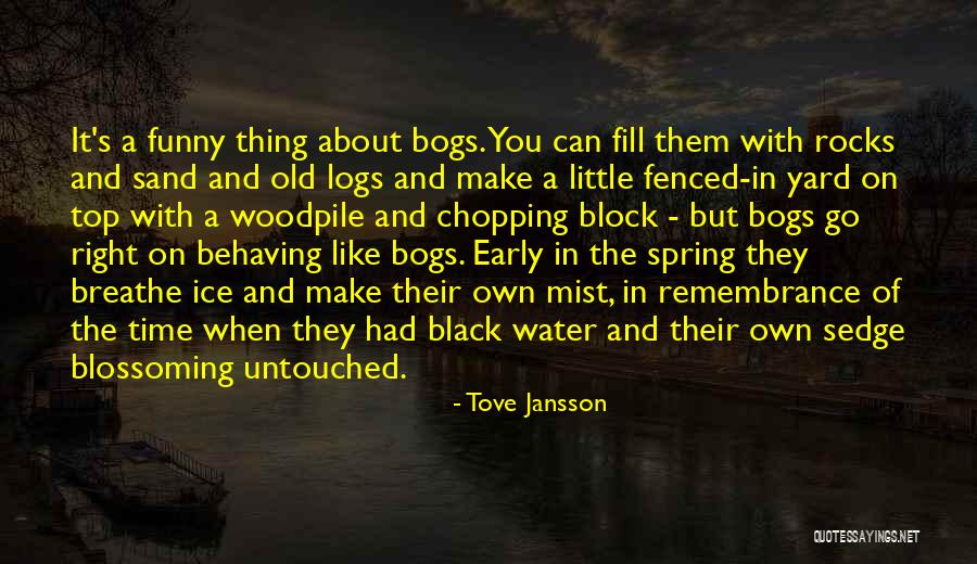 When They Block You Quotes By Tove Jansson When They Block You Quotes By Tove Jansson