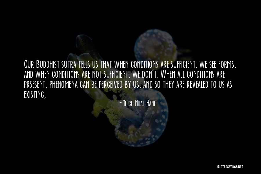When They See Us Quotes By Thich Nhat Hanh When They See Us Quotes By Thich Nhat Hanh