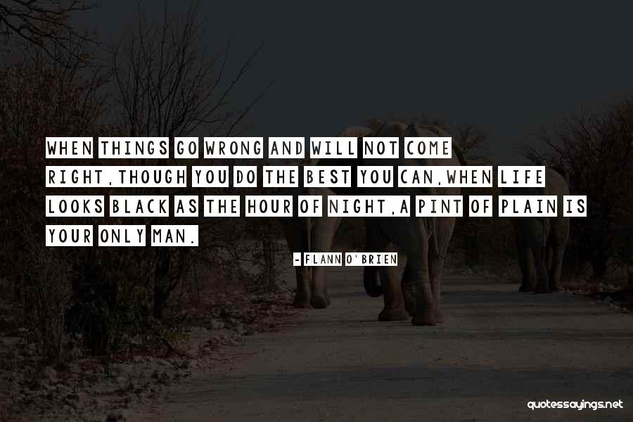 When Things Go Wrong Quotes By Flann O'Brien When Things Go Wrong Quotes By Flann O'Brien
