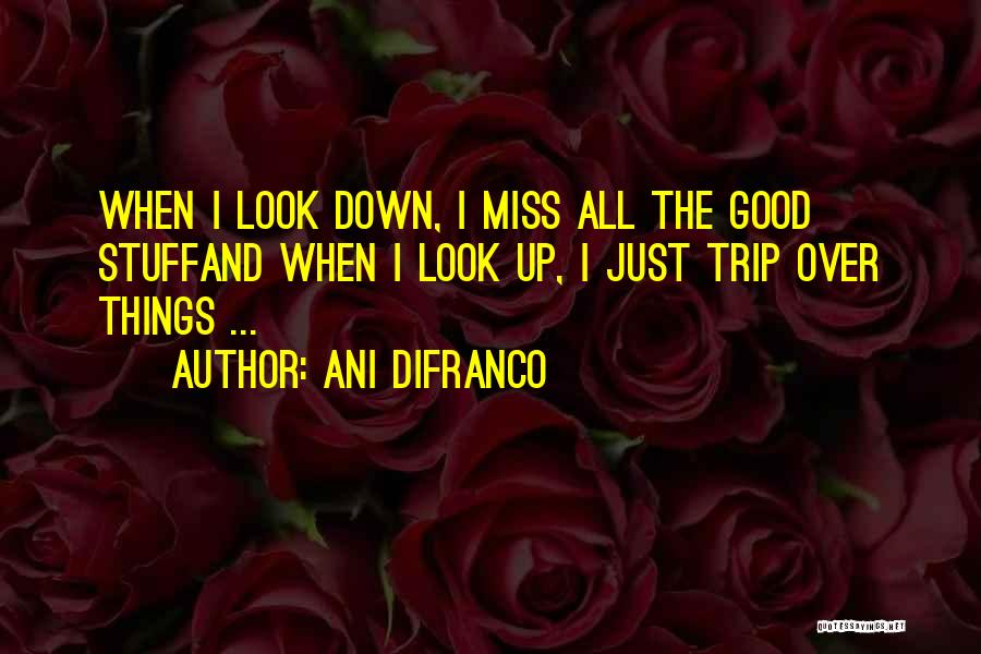 When Things Look Down Quotes By Ani DiFranco