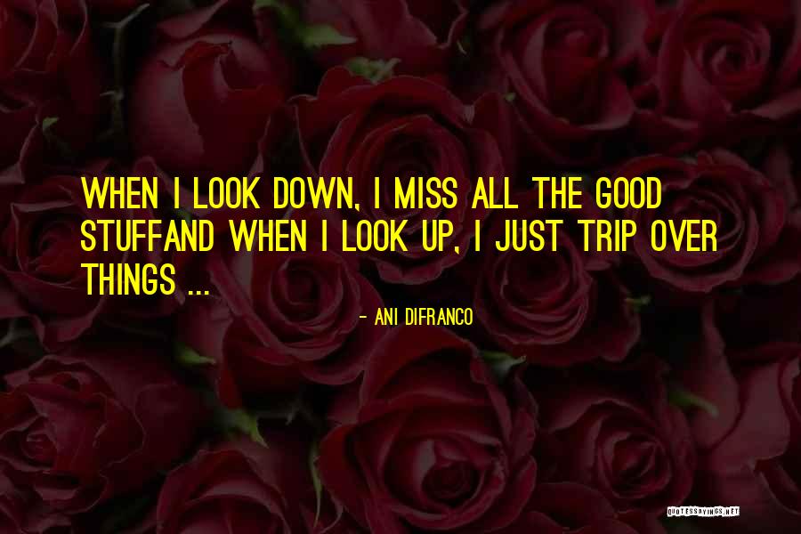 When Things Look Down Quotes By Ani DiFranco When Things Look Down Quotes By Ani DiFranco