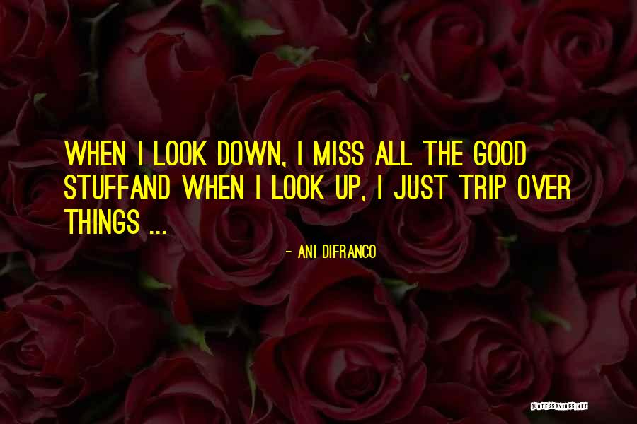 When Things Look Down Quotes By Ani DiFranco