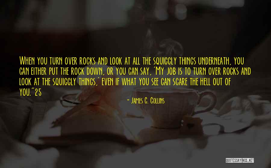 When Things Look Down Quotes By James C. Collins