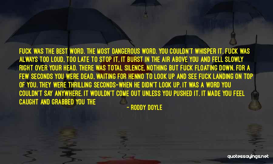 When Things Look Down Quotes By Roddy Doyle