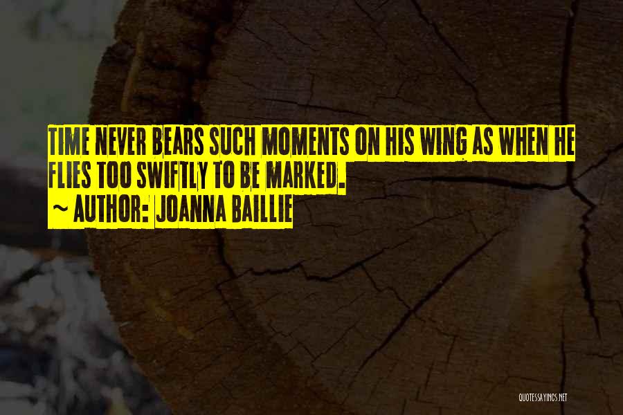 When Time Flies Quotes By Joanna Baillie