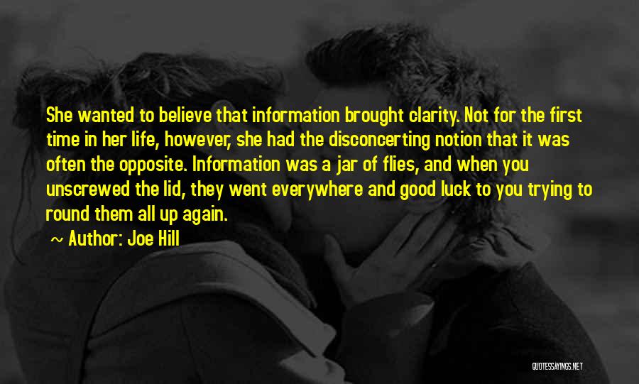 When Time Flies Quotes By Joe Hill