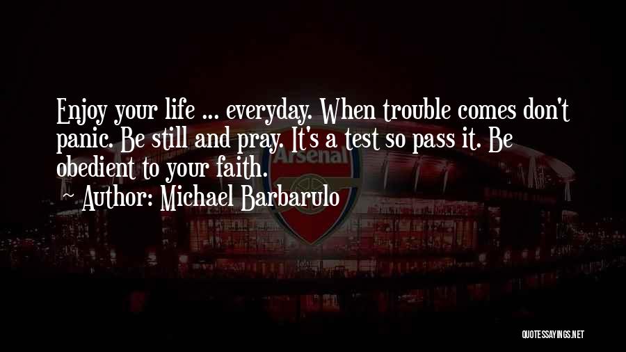 When Trouble Comes Quotes By Michael Barbarulo