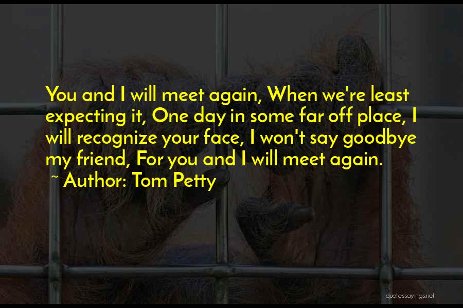 When We Meet Again Quotes By Tom Petty