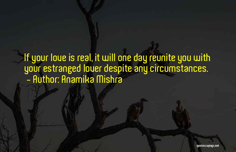 When We Reunite Quotes By Anamika Mishra