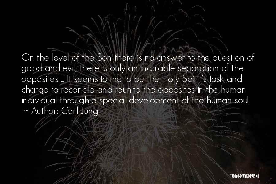 When We Reunite Quotes By Carl Jung