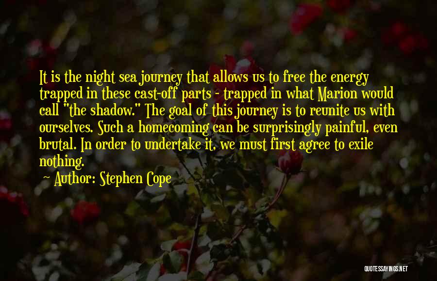 When We Reunite Quotes By Stephen Cope