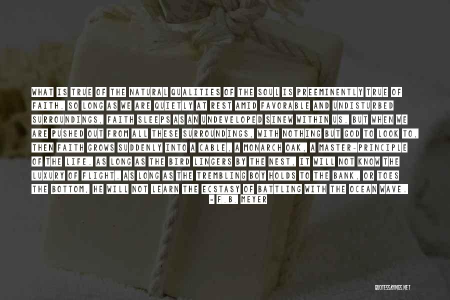 When Will We Learn Quotes By F.B. Meyer When Will We Learn Quotes By F.B. Meyer