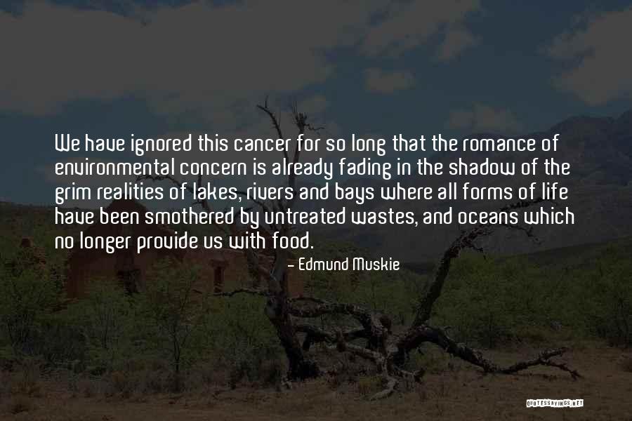 When You Are Ignored Quotes By Edmund Muskie When You Are Ignored Quotes By Edmund Muskie