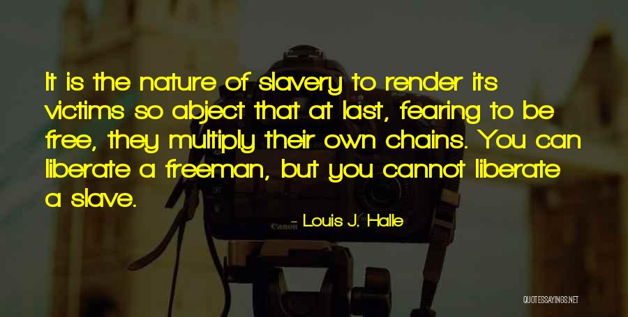 When You Are On The Verge Of A Breakdown Quotes By Louis J. Halle When You Are On The Verge Of A Breakdown Quotes By Louis J. Halle