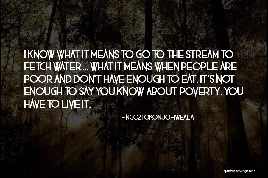 When You Are Poor Quotes By Ngozi Okonjo-Iweala When You Are Poor Quotes By Ngozi Okonjo-Iweala