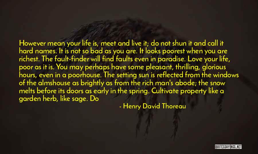 When You Are Rich Quotes By Henry David Thoreau When You Are Rich Quotes By Henry David Thoreau