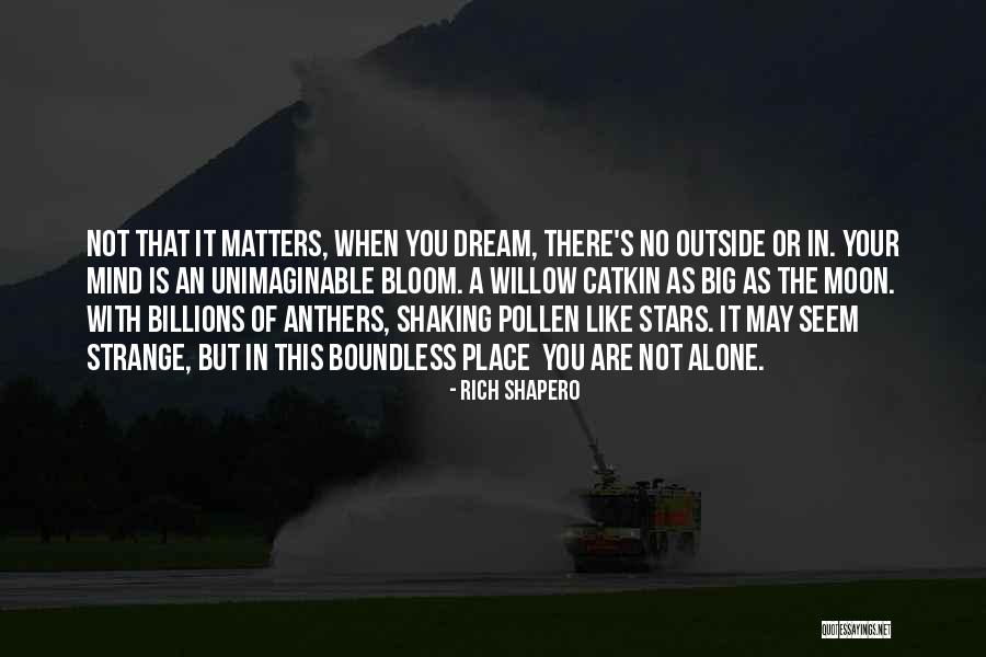 When You Are Rich Quotes By Rich Shapero When You Are Rich Quotes By Rich Shapero
