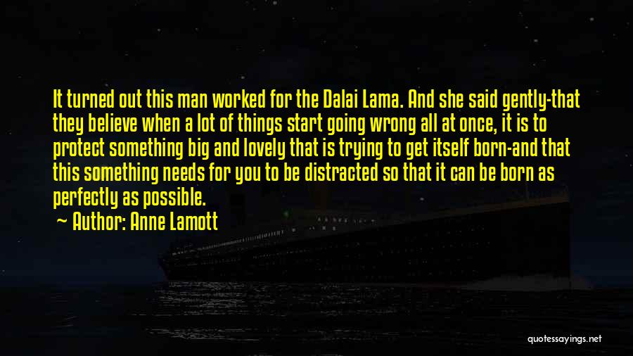 When You Born Quotes By Anne Lamott