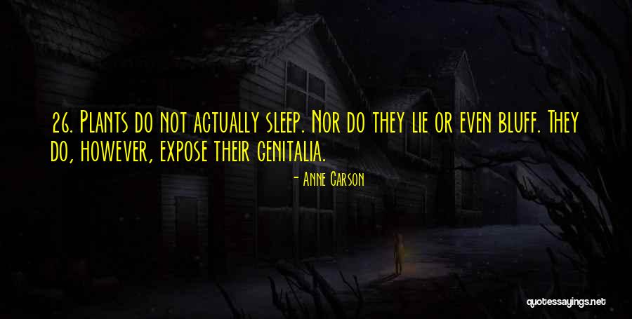 When You Cant Sleep Quotes By Anne Carson When You Cant Sleep Quotes By Anne Carson