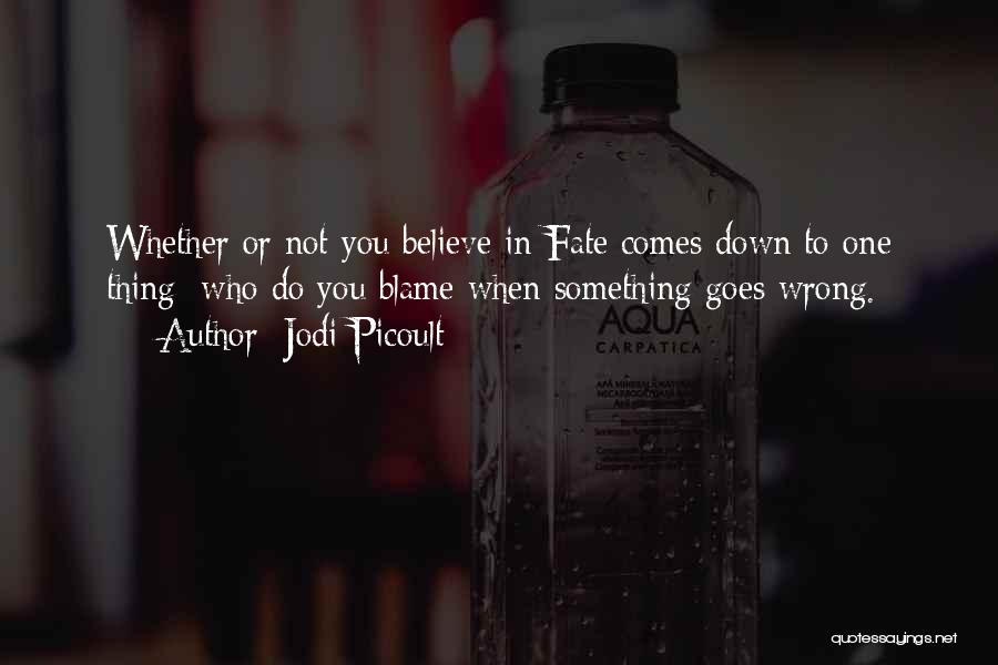 When You Do Something Wrong Quotes By Jodi Picoult