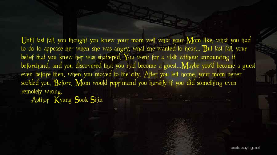 When You Do Something Wrong Quotes By Kyung-Sook Shin