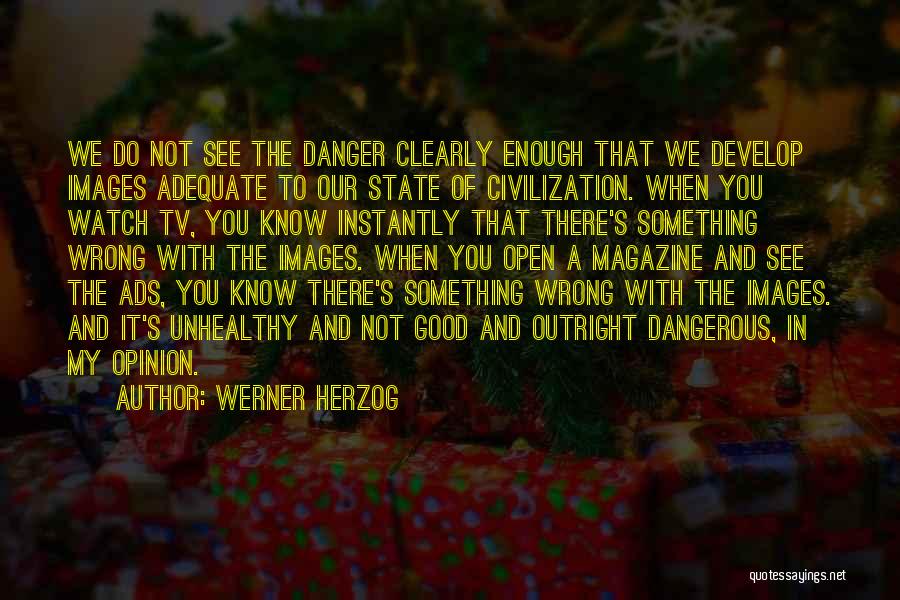 When You Do Something Wrong Quotes By Werner Herzog