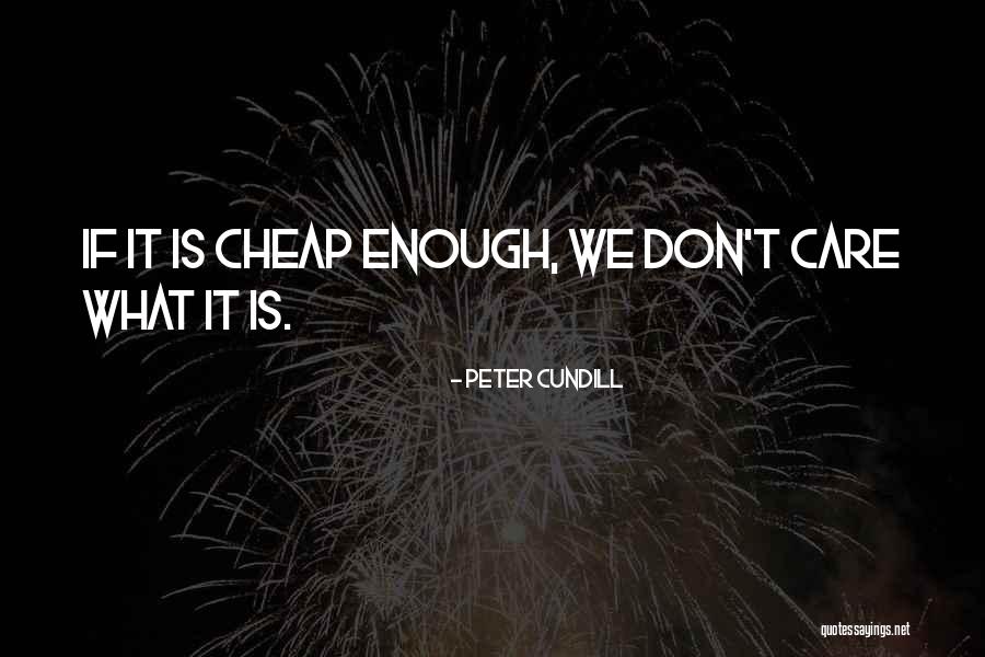 When You Dont Care Quotes By Peter Cundill