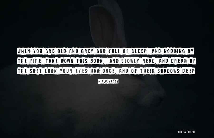 When You Dream Quotes By W.B.Yeats When You Dream Quotes By W.B.Yeats