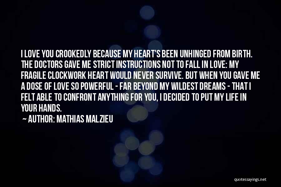 When You Fall In Love Quotes By Mathias Malzieu