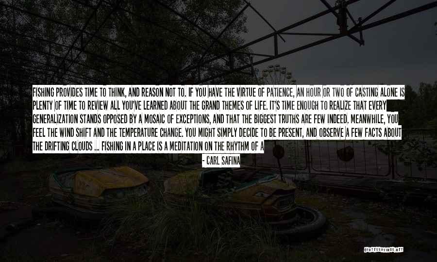 When You Feel All Alone In This World Quotes By Carl Safina