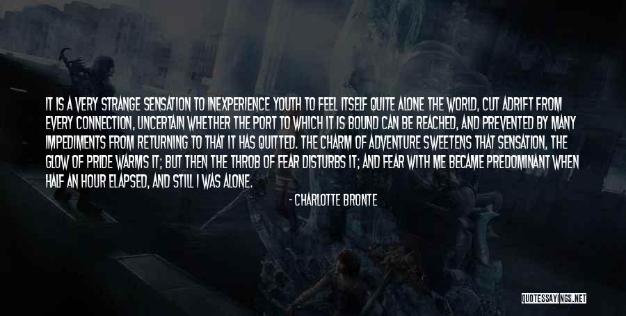 When You Feel All Alone In This World Quotes By Charlotte Bronte