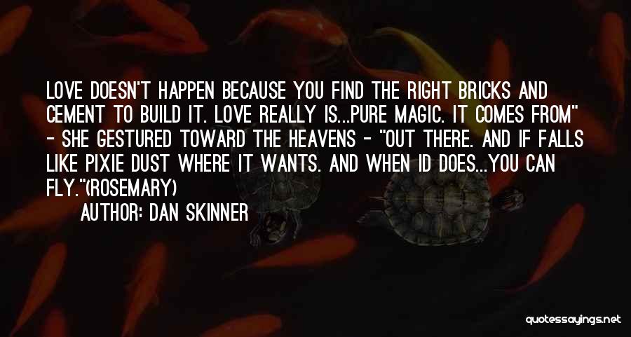 When You Find Love Quotes By Dan Skinner