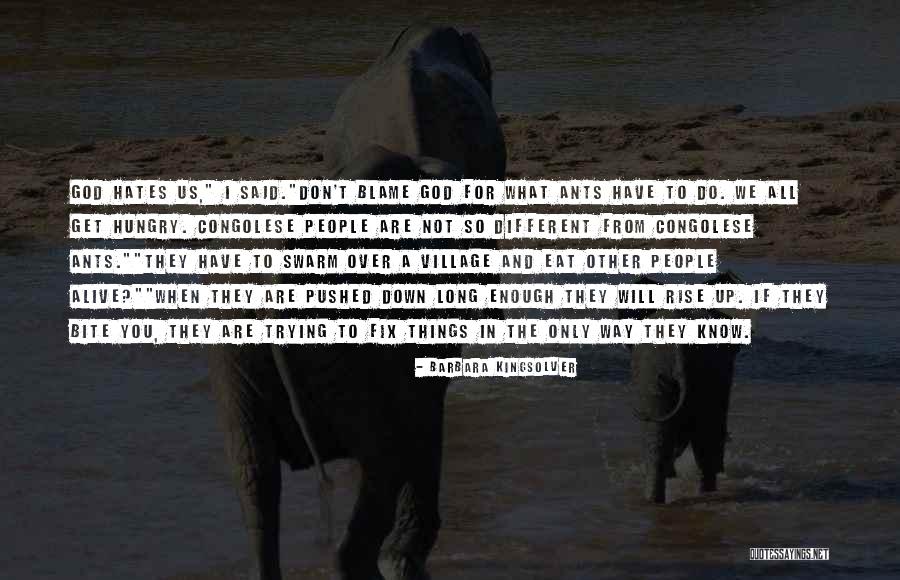 When You Get The Blame Quotes By Barbara Kingsolver When You Get The Blame Quotes By Barbara Kingsolver