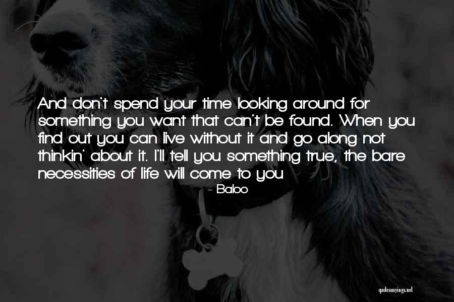 When You Go Looking For Something Quotes By Baloo When You Go Looking For Something Quotes By Baloo