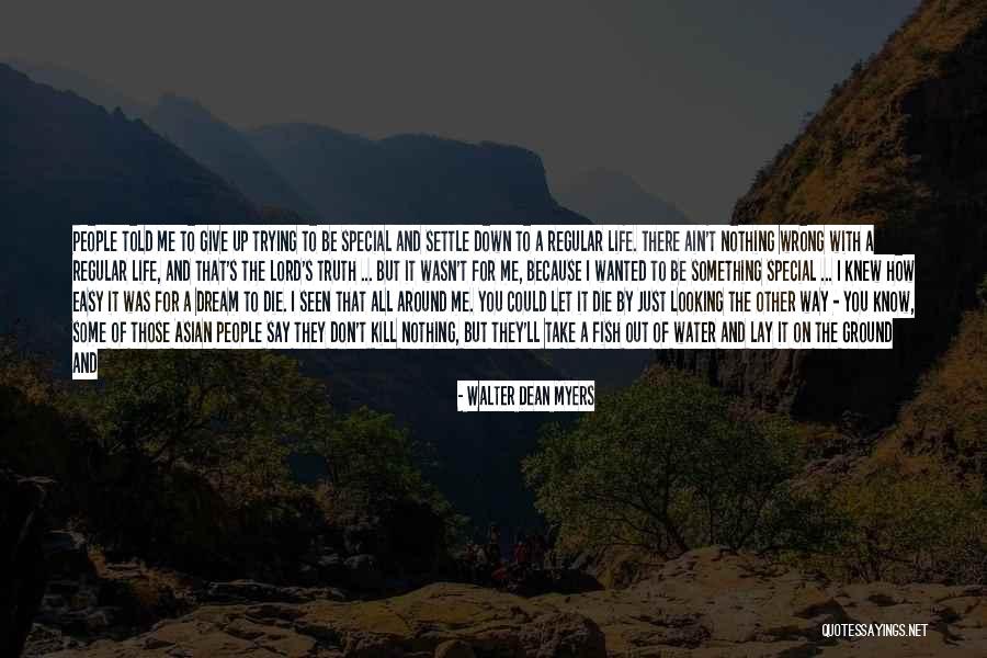 When You Go Looking For Something Quotes By Walter Dean Myers When You Go Looking For Something Quotes By Walter Dean Myers