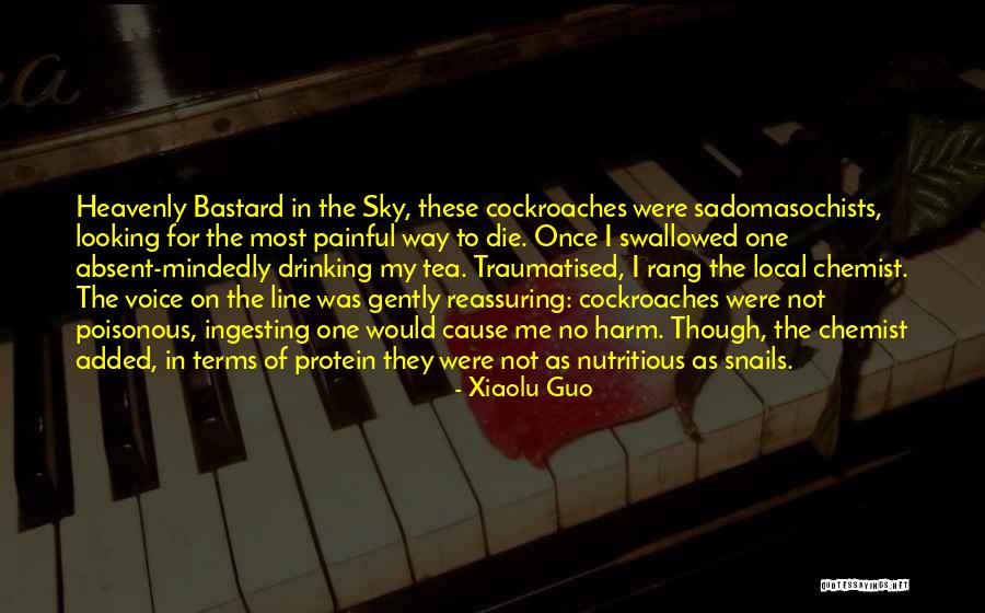 When You Go Looking For Something Quotes By Xiaolu Guo When You Go Looking For Something Quotes By Xiaolu Guo
