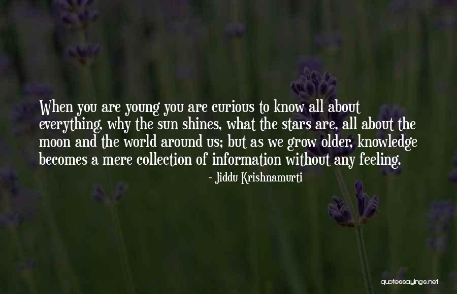 When You Grow Older Quotes By Jiddu Krishnamurti