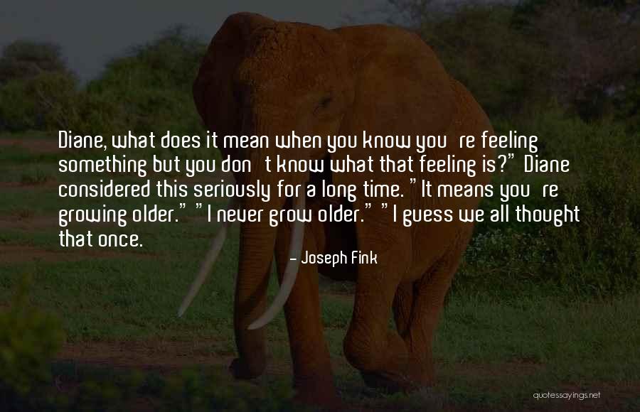 When You Grow Older Quotes By Joseph Fink