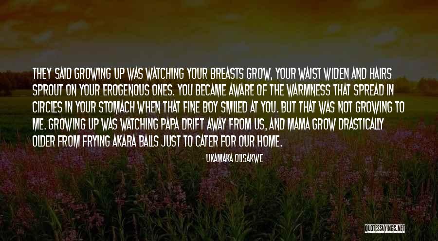 When You Grow Older Quotes By Ukamaka Olisakwe